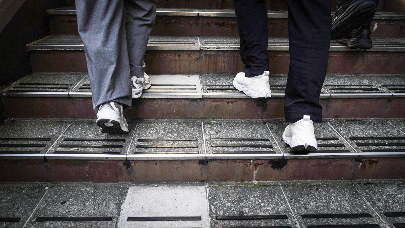 ウォーキングの様子