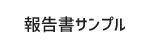 報告書サンプル