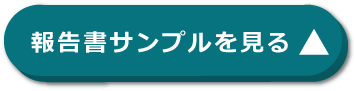 報告書サンプルを見る